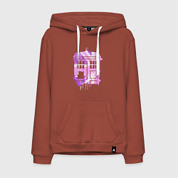 Мужская толстовка-худи Pink tardis