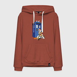 Мужская толстовка-худи Тардис и котики