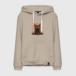 Мужская толстовка-худи Арт котики