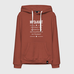 Мужская толстовка-худи Музыкант волшебник