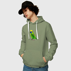 Толстовка-худи хлопковая мужская Зеленый попугай, цвет: авокадо — фото 2