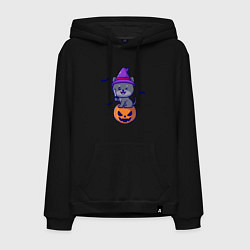 Мужская толстовка-худи Котик и хэллоуин