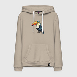 Мужская толстовка-худи Яркий тукан на ветке