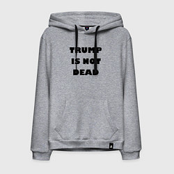 Мужская толстовка-худи Trump is not dead - motto