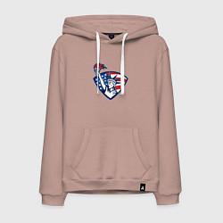 Мужская толстовка-худи США статуя свободы