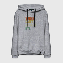 Мужская толстовка-худи Извини не могу гитары пока