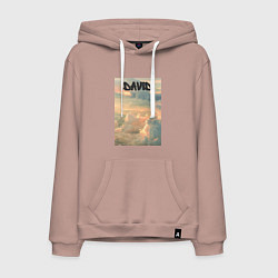 Мужская толстовка-худи David облака