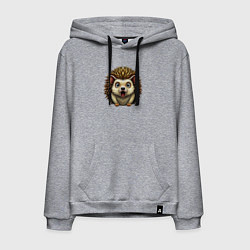 Мужская толстовка-худи Крик ежика