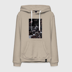 Мужская толстовка-худи Волки коллаж