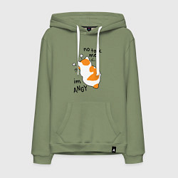 Мужская толстовка-худи Не говори со мной - я злюсь