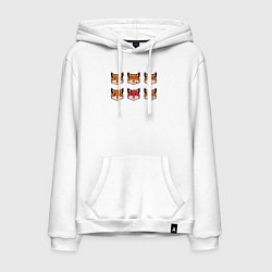 Мужская толстовка-худи Эмоции лисички