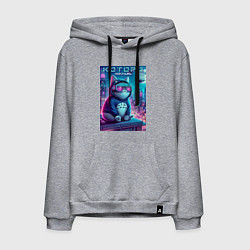 Мужская толстовка-худи Которо на крыше небоскрёба - мем