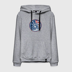 Мужская толстовка-худи USA flag New York