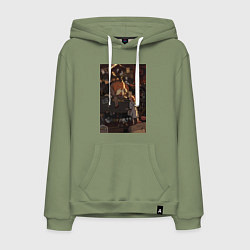 Мужская толстовка-худи Тыква мистика