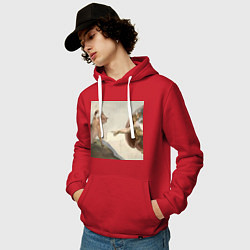 Толстовка-худи хлопковая мужская Кот сотворение Адама, цвет: красный — фото 2