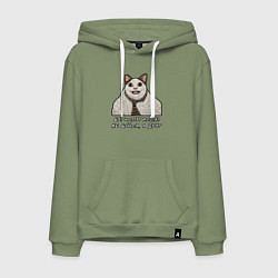 Мужская толстовка-худи Мемный кот Бу