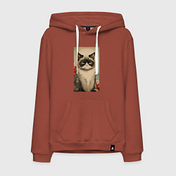 Мужская толстовка-худи Мемный кот - японский стиль