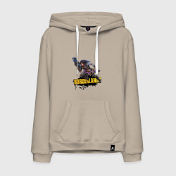 Мужская толстовка-худи Borderlands Гонка вооружений