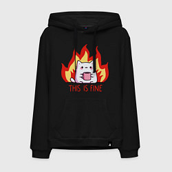 Мужская толстовка-худи Cat - this is fine