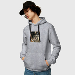 Толстовка-худи хлопковая мужская Недовольная серая кошка, цвет: меланж — фото 2