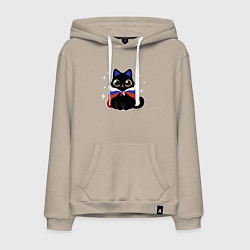 Мужская толстовка-худи Кот с флагом