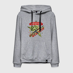 Мужская толстовка-худи 23 февраля автомат