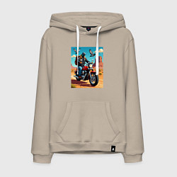 Мужская толстовка-худи Голубь байкер