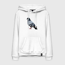 Толстовка-худи хлопковая мужская Голубь сизый, цвет: белый