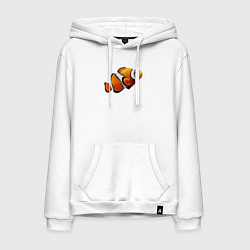 Мужская толстовка-худи Рыбка попугай