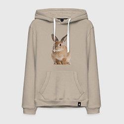 Мужская толстовка-худи Бежевый кролик