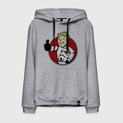 Толстовка-худи хлопковая мужская Vault storm trooper, цвет: меланж