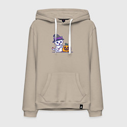 Мужская толстовка-худи Cat pumpkin