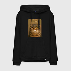 Мужская толстовка-худи Yo - Im Scottish Fold