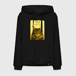Толстовка-худи хлопковая мужская Yo - Im Maine Coon, цвет: черный
