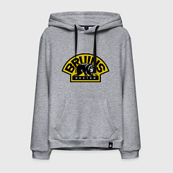 Мужская толстовка-худи HC Boston Bruins Label