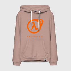 Мужская толстовка-худи Half-Life 3