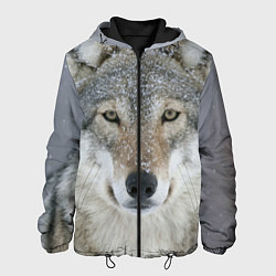 Куртка с капюшоном мужская Милый волк, цвет: 3D-черный