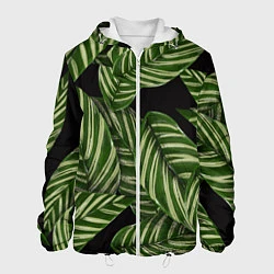 Куртка с капюшоном мужская Тропические большие листья, цвет: 3D-белый