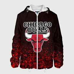 Куртка с капюшоном мужская CHICAGO BULLS, цвет: 3D-белый