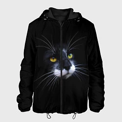 Куртка с капюшоном мужская Кот, цвет: 3D-черный