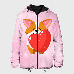 Мужская куртка Милый корги