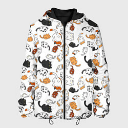 Куртка с капюшоном мужская Кошачьи валяния, цвет: 3D-черный