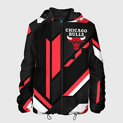 Куртка с капюшоном мужская CHICAGO BULLS, цвет: 3D-черный