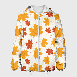 Мужская куртка Осень Autumn