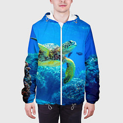 Куртка с капюшоном мужская Морская черепаха, цвет: 3D-белый — фото 2