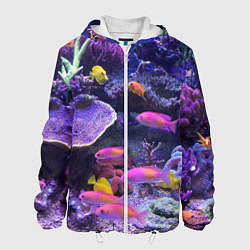 Мужская куртка Коралловые рыбки
