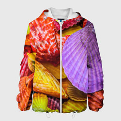 Куртка с капюшоном мужская Разноцветные ракушки multicolored seashells, цвет: 3D-белый