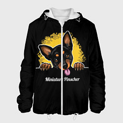 Куртка с капюшоном мужская Пинчер Miniature Pinscher, цвет: 3D-белый