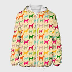 Мужская куртка Собаки Разноцветные