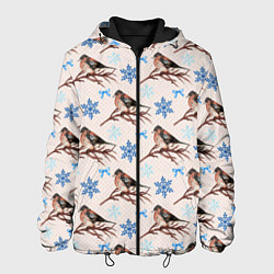 Куртка с капюшоном мужская Снегири зима, цвет: 3D-черный